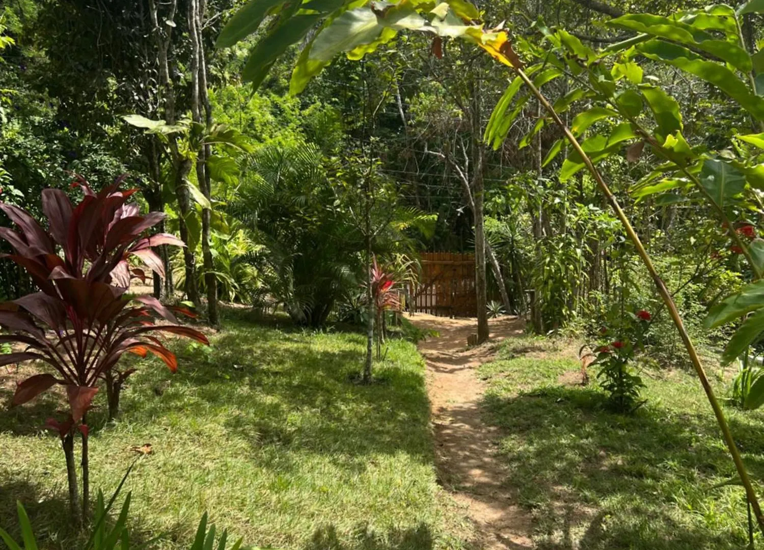 Loft Mata Dos Macacos Trancoso - 2Km Do Quadrado Villa Porto Seguro